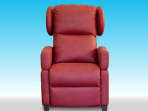DESIGN FRONTALE GRANDE POLTRONA DISABILI MULTIFUNZIONALE PORTATA XL 180 KG CON BRACCIOLI FIANCHI STACCABILI