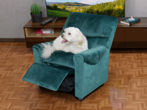 MINI POLTRONA RELAX PER ANIMALI DA COMPAGNIA CON CANE SOPRA